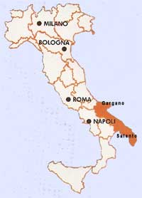 Cartine stradali della Puglia 