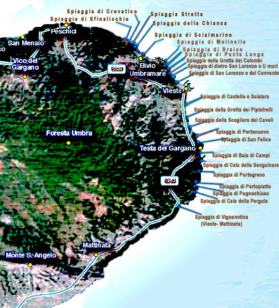 La mappa delle spiagge di Vieste mare La mappa delle spiagge di Vieste mare