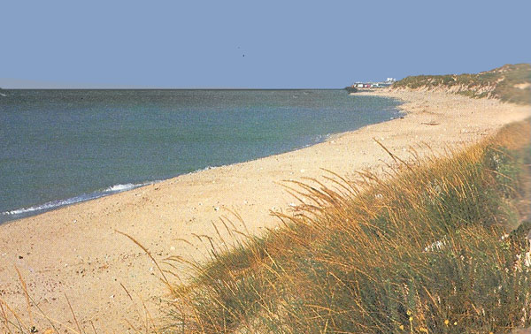 Scorcio di spiaggia a Campomarino di Maruggio con le alte dune